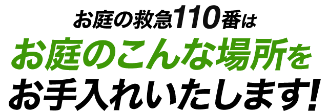 お庭救急110番はこんな場所をお手入れしています！