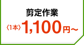 剪定作業〈1本〉1,100円～