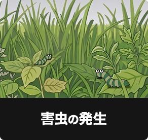 害虫の発生