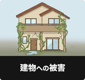 建物への被害