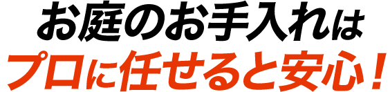 お庭のお手入れはプロに任せると安心！