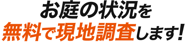 お庭の状況を無料で現地調査します!