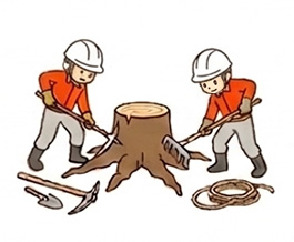 伐根作業