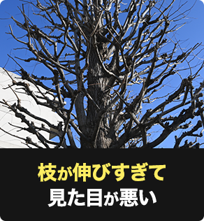 枝が伸びすぎて見た目が悪い