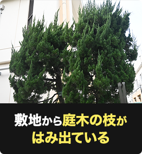 敷地から庭木の枝がはみ出している